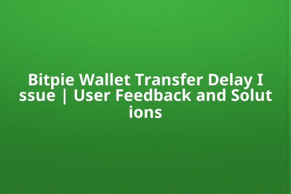 Bitpie Wallet Transfer Delay Issue | User Feedback and Solutions