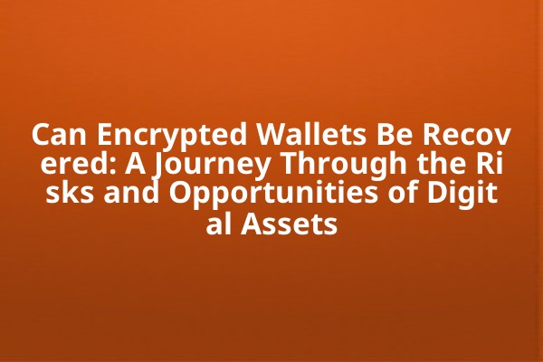 Can Encrypted Wallets Be Recovered: A Journey Through the Risks and Opportunities of Digital Assets