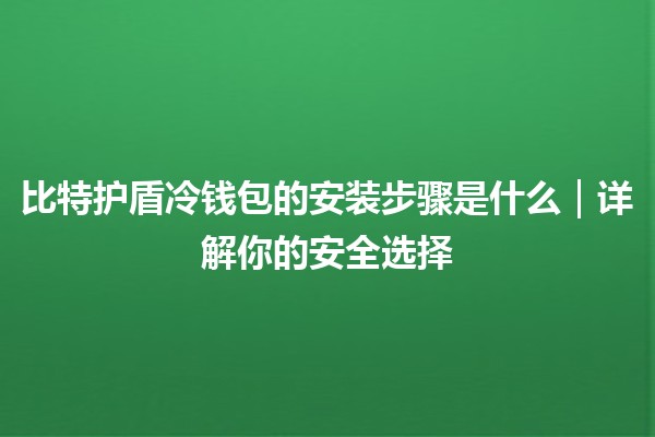 比特护盾冷钱包的安装步骤是什么｜详解你的安全选择