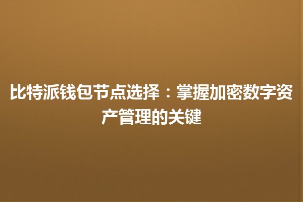 比特派钱包节点选择：掌握加密数字资产管理的关键