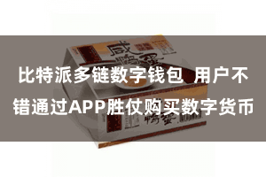 比特派多链数字钱包  用户不错通过APP胜仗购买数字货币