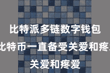 比特派多链数字钱包  比特币一直备受关爱和疼爱