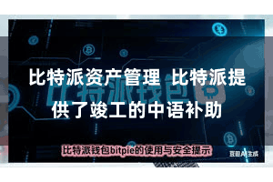 比特派资产管理  比特派提供了竣工的中语补助
