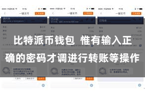 比特派币钱包  惟有输入正确的密码才调进行转账等操作
