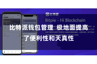 比特派钱包管理  极地面提高了便利性和天真性