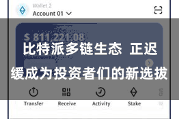 比特派多链生态  正迟缓成为投资者们的新选拔