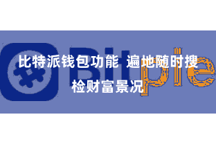 比特派钱包功能  遍地随时搜检财富景况